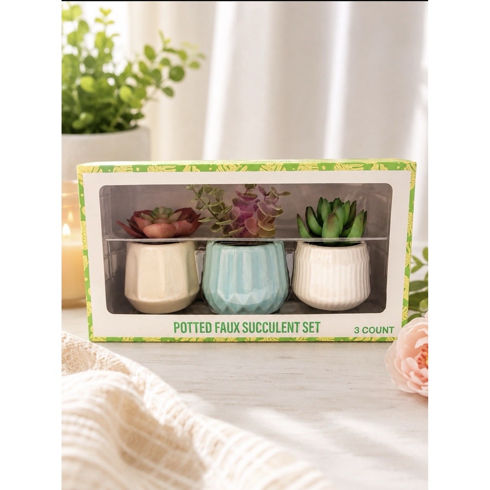 Festive Voice 3 Piece Potted Faux Succulents Set Artificial Plants Home Decor
